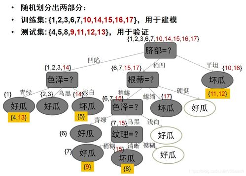 人工智能基礎(chǔ)知識(shí)與軟件開(kāi)發(fā)入門(mén)指南
